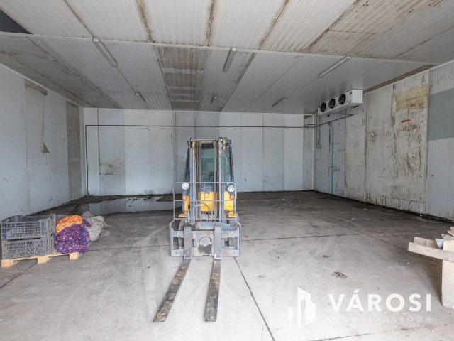 Makói, mezőgazdasági tanya/telephely eladó!