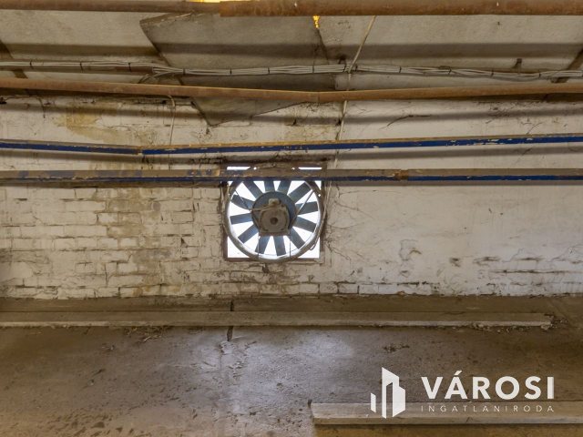 Makói, mezőgazdasági tanya/telephely eladó!