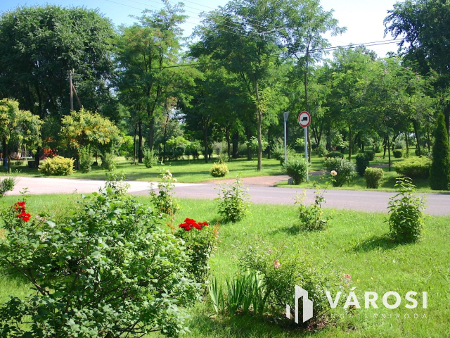 Ha vállalkozást szeretne elindítani,