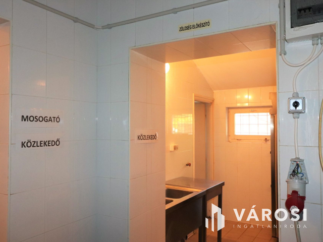 Szabadkígyósi kastély mellett kíváló befektetési lehetőség