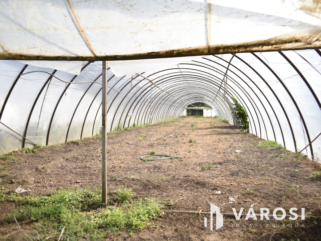 Kiváló lehetősség termelőknek!