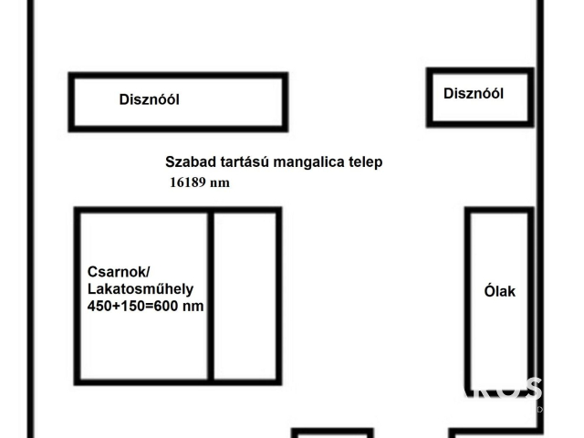 Szabad tartású mangalica telep, kiváló befektetési lehetőség