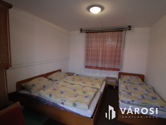 Ez nem üvegtigris, ez jobb! Ez Fapuma