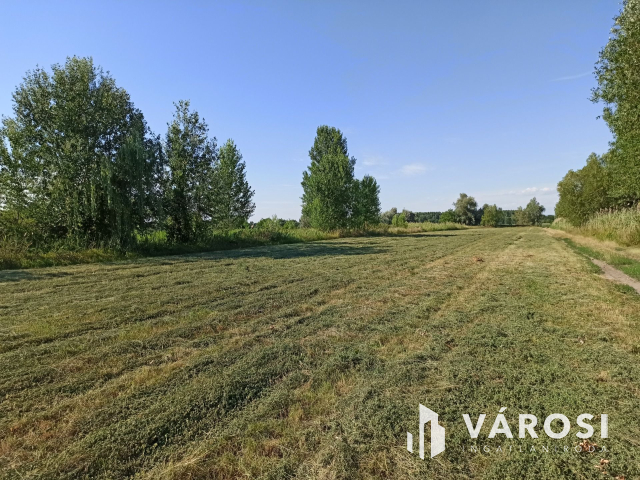 Turán 6060nm-es külterületi telek