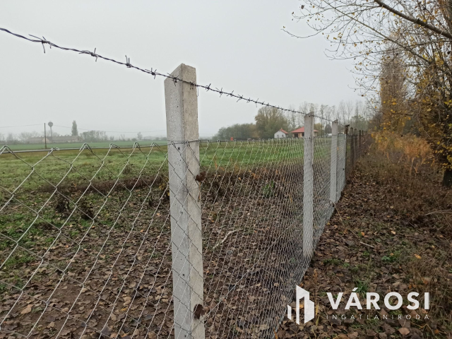 Telephelyet keres üzleti vállalkozásához?