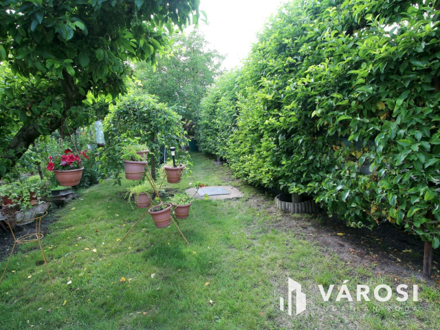 Édenkert Szeged kedvelt üdülő övezetében