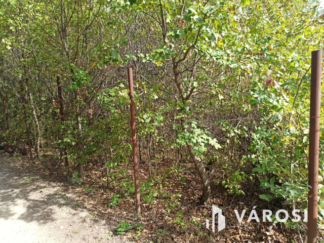 Nyaralónak tökéletes választás Dunabogdányban!