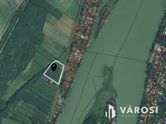 Szigetszentmártonban 11.000 nm-es erdő!