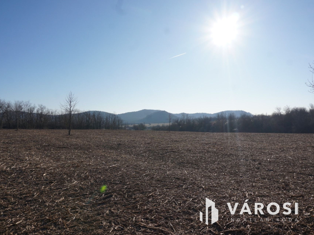 A lehetőségek telke Budakeszin ár alatt!