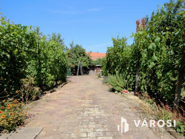 Kétgenerációs, nagypolgári családi ház eladó!