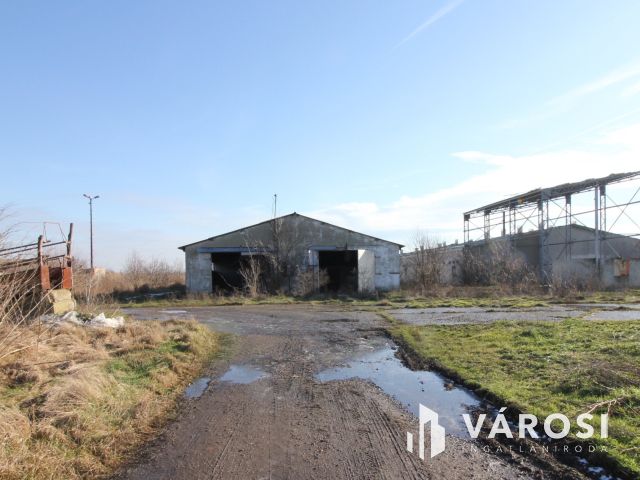 Eladó Major vásárhely határában