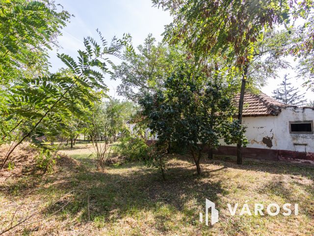 Tanya földdel vagy föld nélkül? Döntse el Ön!