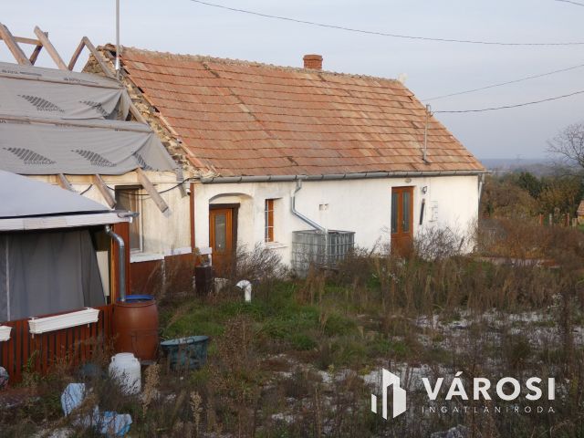 Bazsi szőlő hegyen 1,75 ha terület lakóépülettel eladó