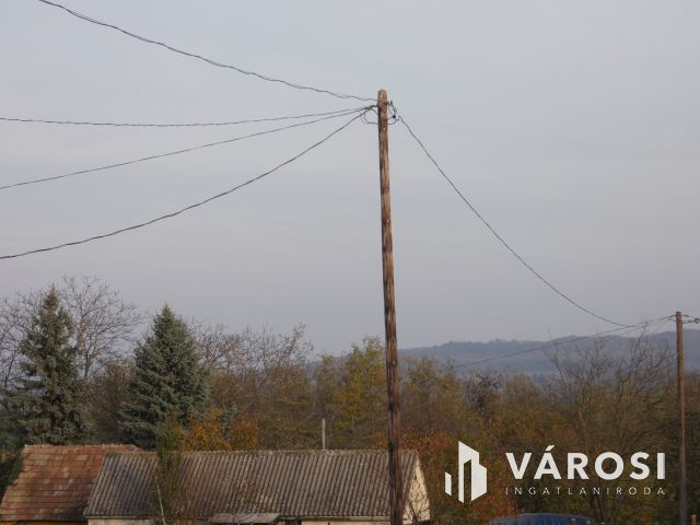 Bazsi szőlő hegyen 1,75 ha terület lakóépülettel eladó