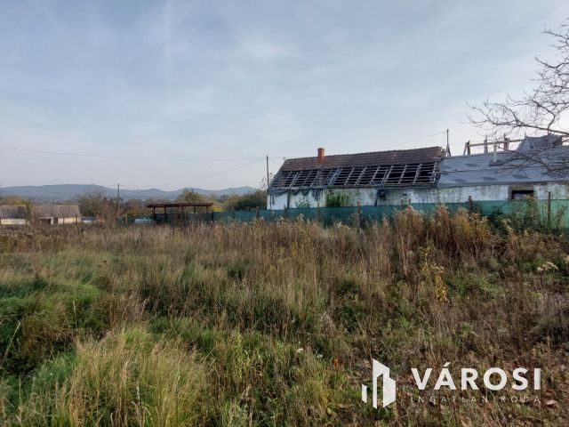 Bazsi szőlő hegyen 1,75 ha terület lakóépülettel eladó