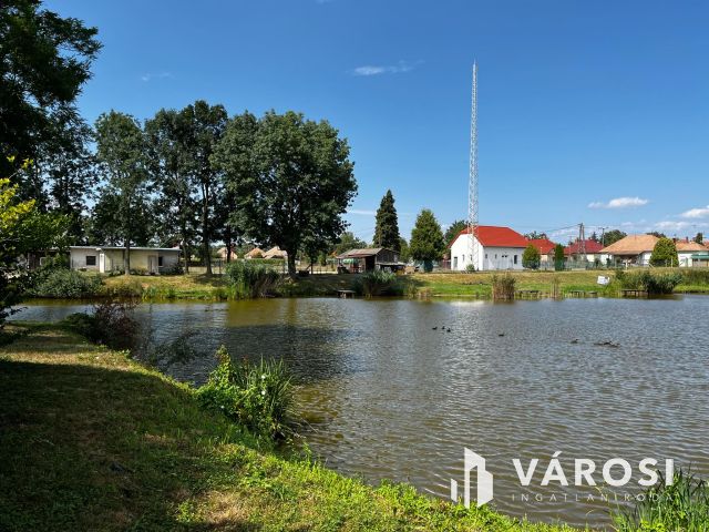 Simaság működő belterületi horgásztó,engedélyekkel6000m2