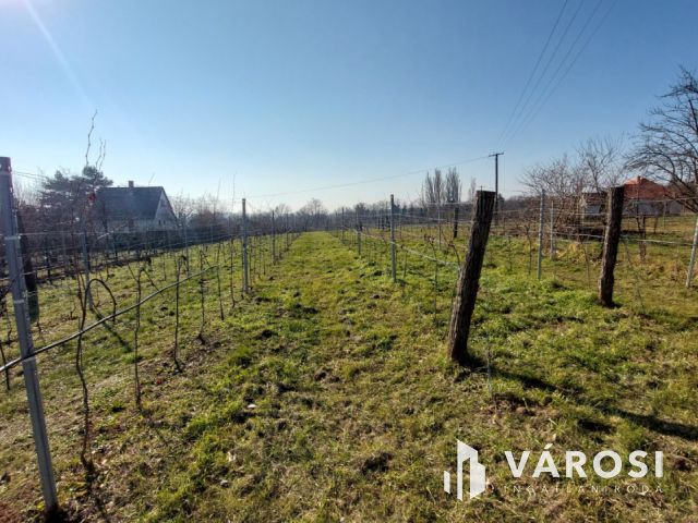Megosztva 2 ház építésre is alkalmas zártkert Kővágóörsön