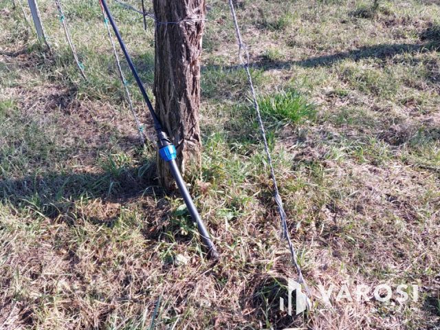 Megosztva 2 ház építésre is alkalmas zártkert Kővágóörsön