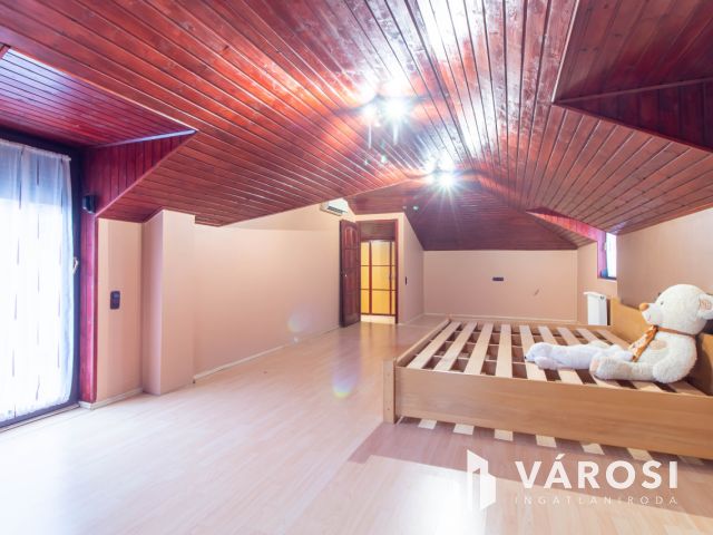 Családi ház és üzleti ingatlan egyben eladó Pátyon !