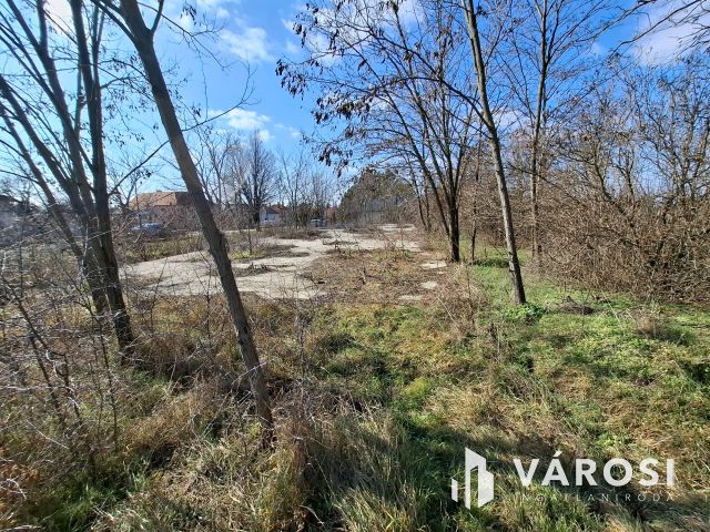 Jó fekvésű építési telek eladó Szőcön