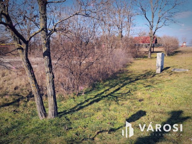Jó fekvésű építési telek eladó Szőcön