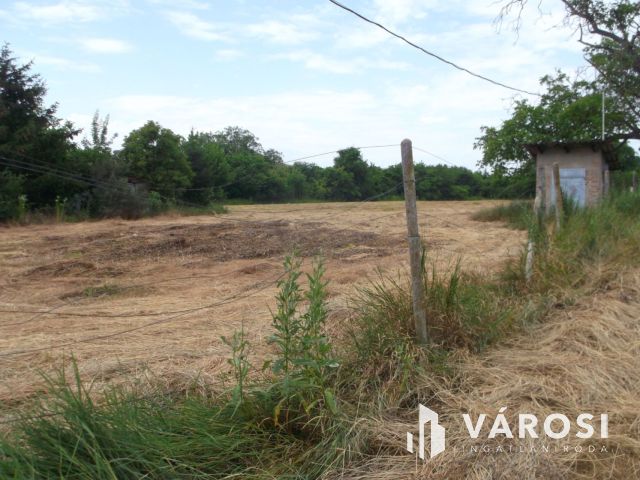 Eladó telek a gyulai ipari parkban