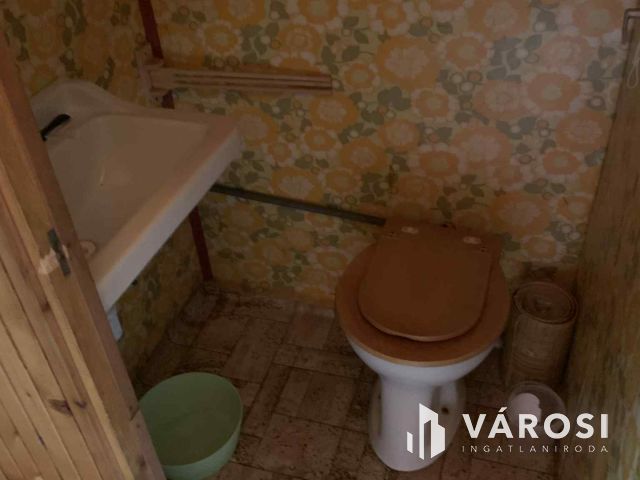 Tiszalökön, közvetlen a Tisza parton nyaraló eladó!