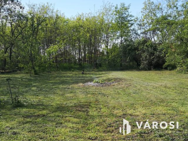 Kis ház nagy kerttel