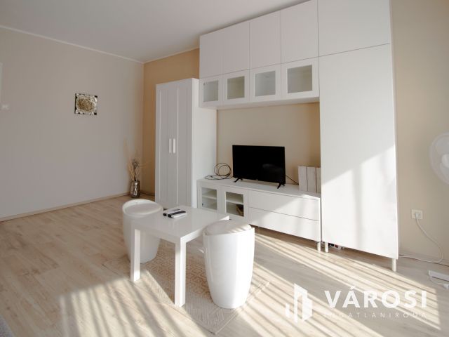 Belvárosi, első emeleti, 39 m2 tégla lakás kiadó!