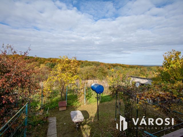 Eladó Lenti hegyi ingatlan, csodás területtel együtt.