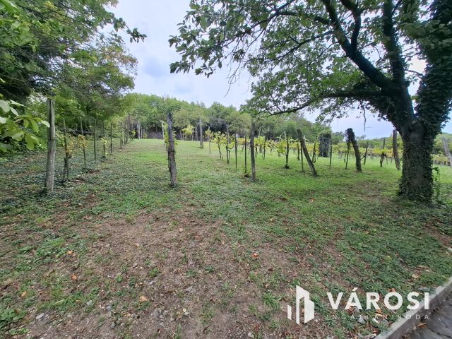 Badacsonyi nyaraló teljes és örök balatoni panorámával eladó