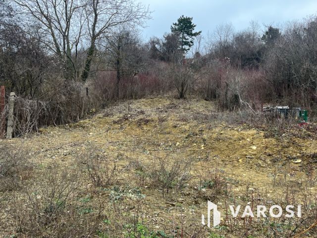 Zártkerti telek Békásmegyer felett!