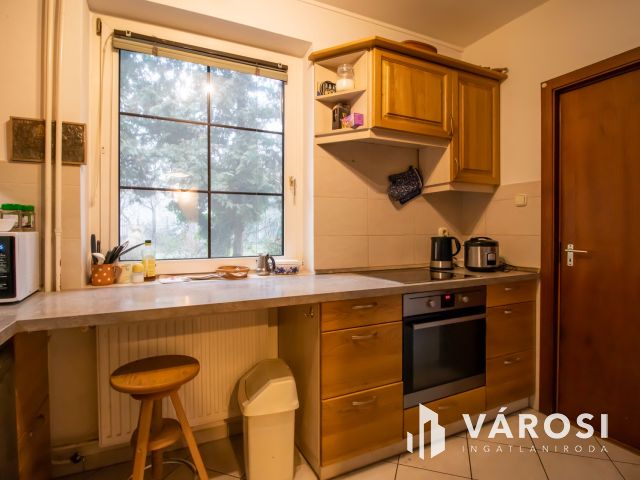 Családi ház nagycsaládnak, ingatlanfejlesztőknek