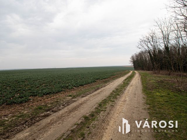 Kellemes, szomszédmentes kis zártkerti ingatlan