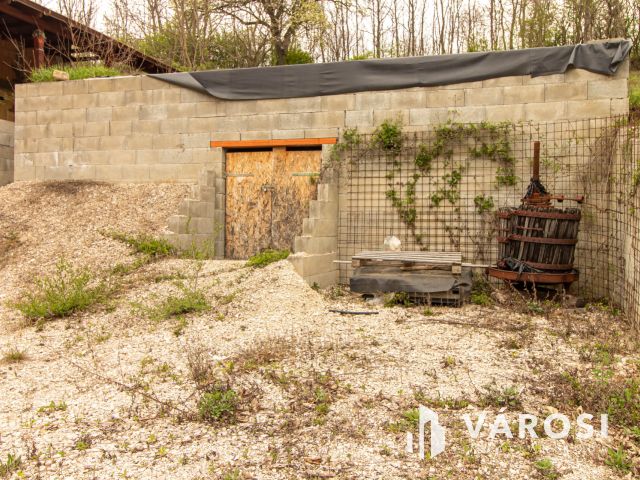 Zártkerti telek vízzel + árammal  Máriahalmon– ne hagyd ki!