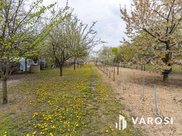 Művelés alól kivont zártkert, Szentmártonkátán eladó