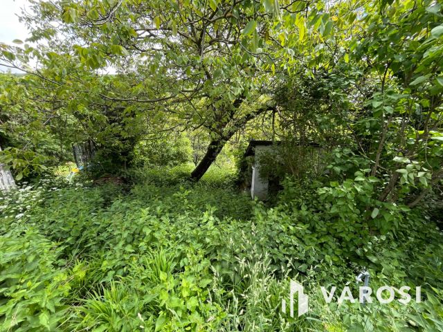 Ahol megérint a természet, Pilisszentkereszten!