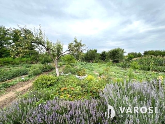 Bútorozott vidéki birtok Pusztaottlakán – meseház, 3 szoba